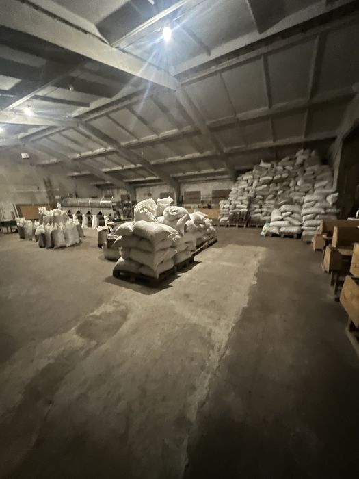 Продам горіхове виробництво