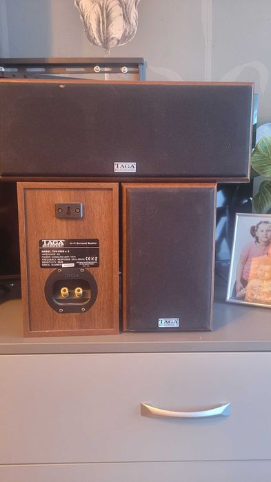 wieża pioneer, głośniki