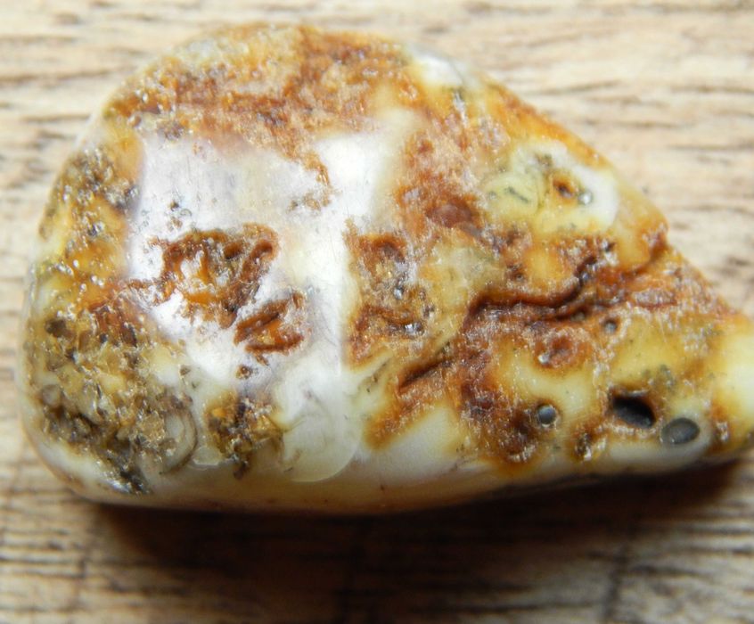 Bursztyn bałtycki, multikolor, ok. 5,01g