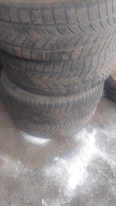 205.55.16 opony zimowe