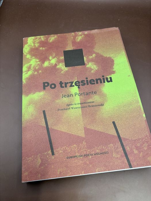 Książka Po trzęsieniu