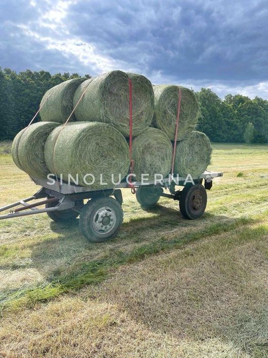 Сіно лугове різнотравʼя в круглих тюках. Укос 2025 року
