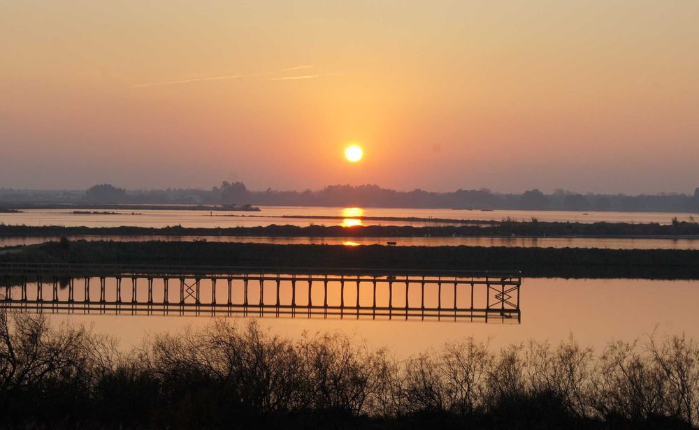 T0 mobilado e equipado a metros da Universiade de Aveiro