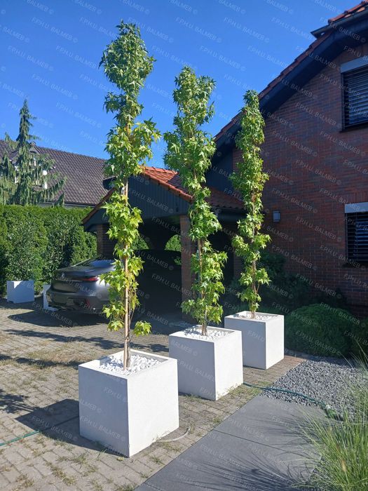 Donice-ogrodowe-Donica-tarasowa-Lekka-Na wymiar-Producent!