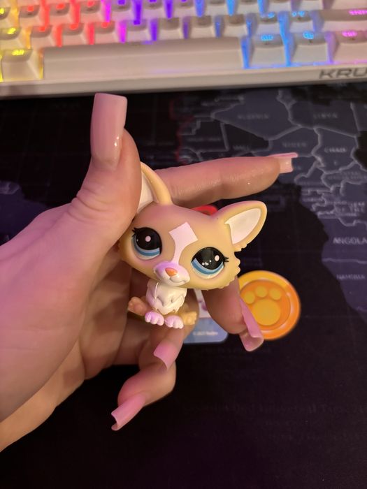 LPS Corgi generacja 7 #12