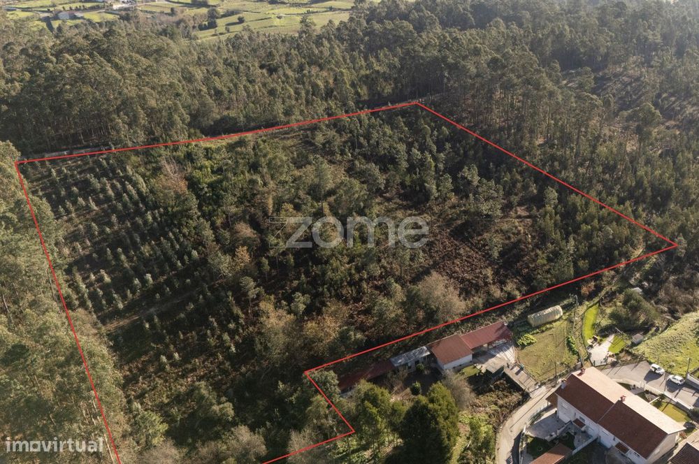 Terreno Rustico com 22500 m2, em Argoncilhe, Santa Maria da Feira