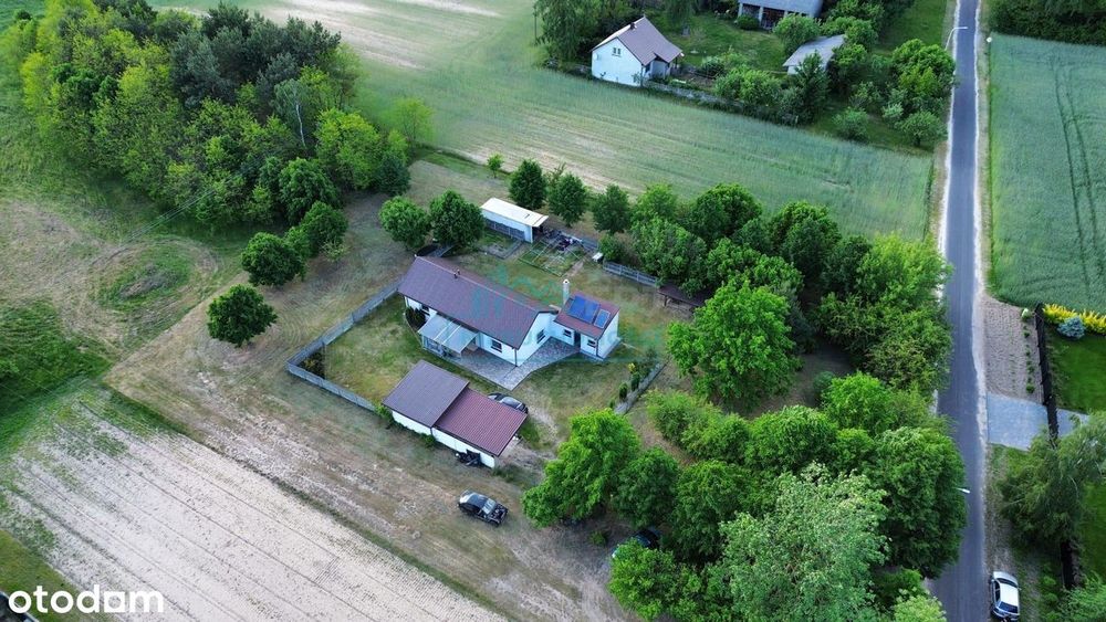 Prywatne siedlisko z 1 ha ziemi | Sulmierzyce | cisza, natura i przest