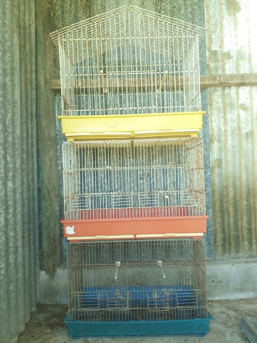 5 Gaiolas para criação de aves