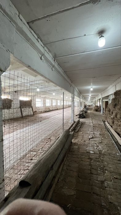 Продам приміщення під ферму