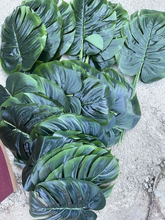 Monstera sztuczna - zestaw