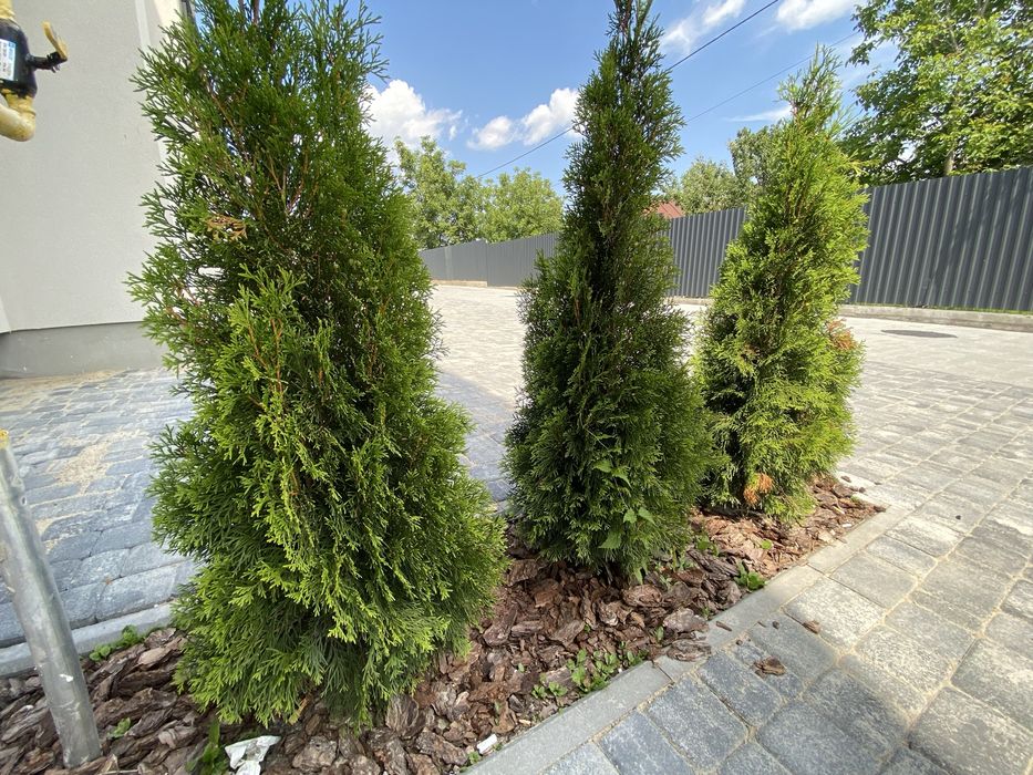 House by the address (area 70 m²) - Atlanta.ua - photo 5