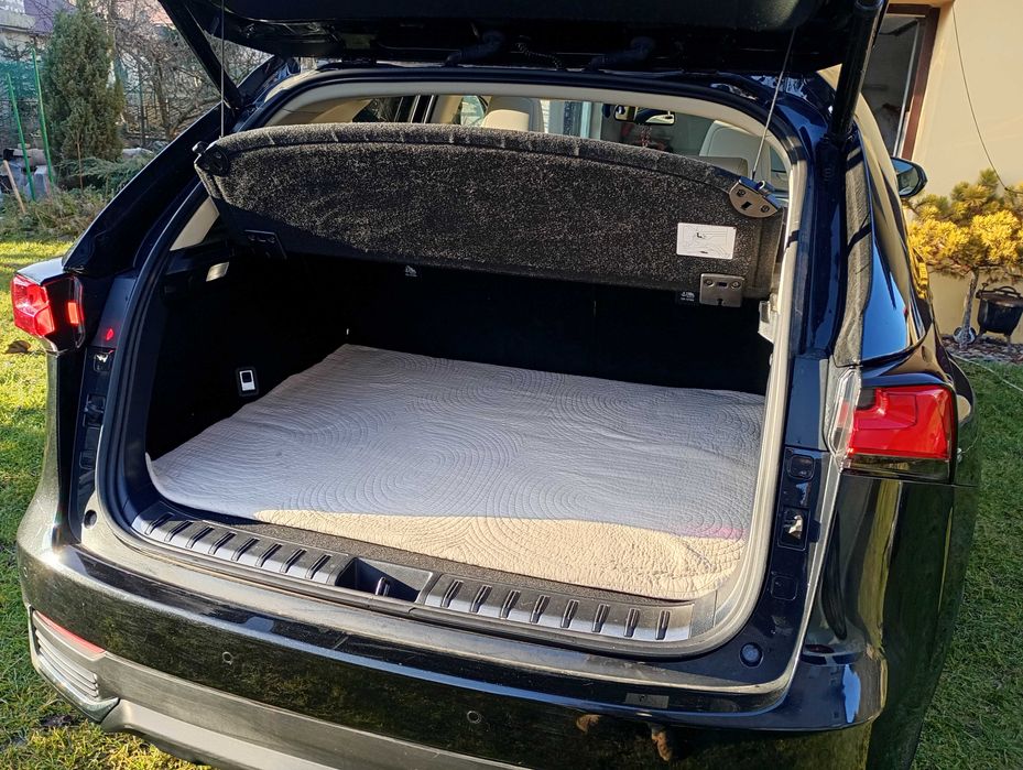 Lexus NX300H  E-FOUR Elegance AWD