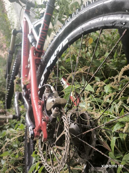 Specialized + material novo