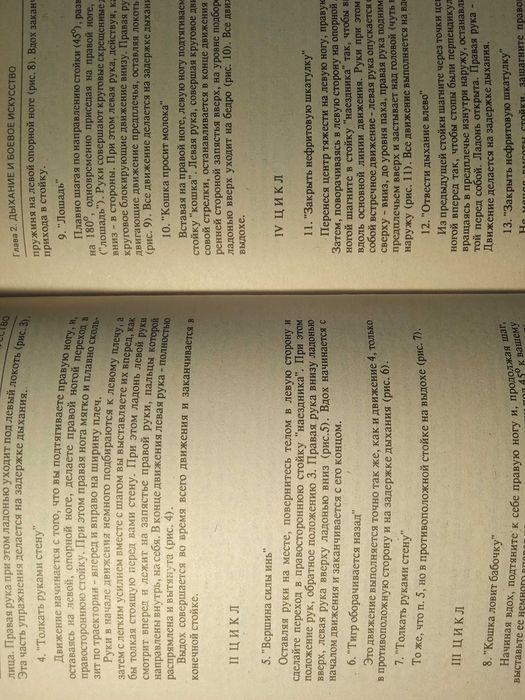 Беседы о боевом искусстве. А. Гизюк. В. Подковыров