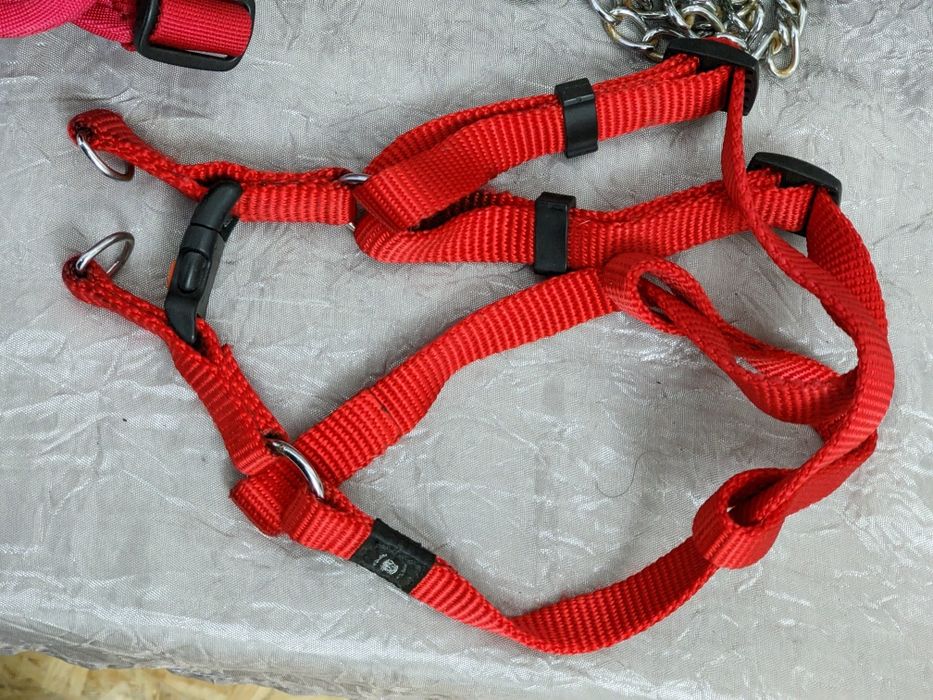 Ошійники та проводки для песиків.