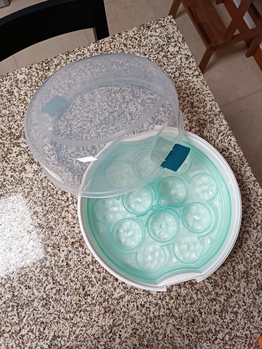 Esterilizador microondas Wells