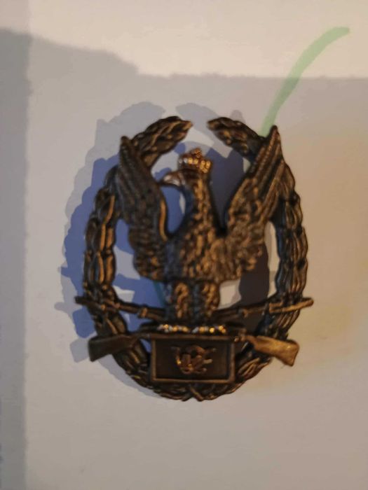 Odznaczenia wzorowy żołnierz + buńczuk sił zbrojnych