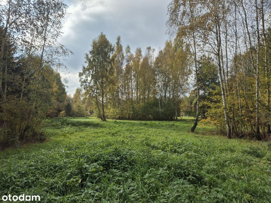 Piękna działka budowlana w Grabinie Radziwiłłowskiej - Widok 5
