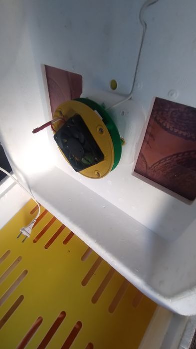 Інкубатор Smart Рябушка