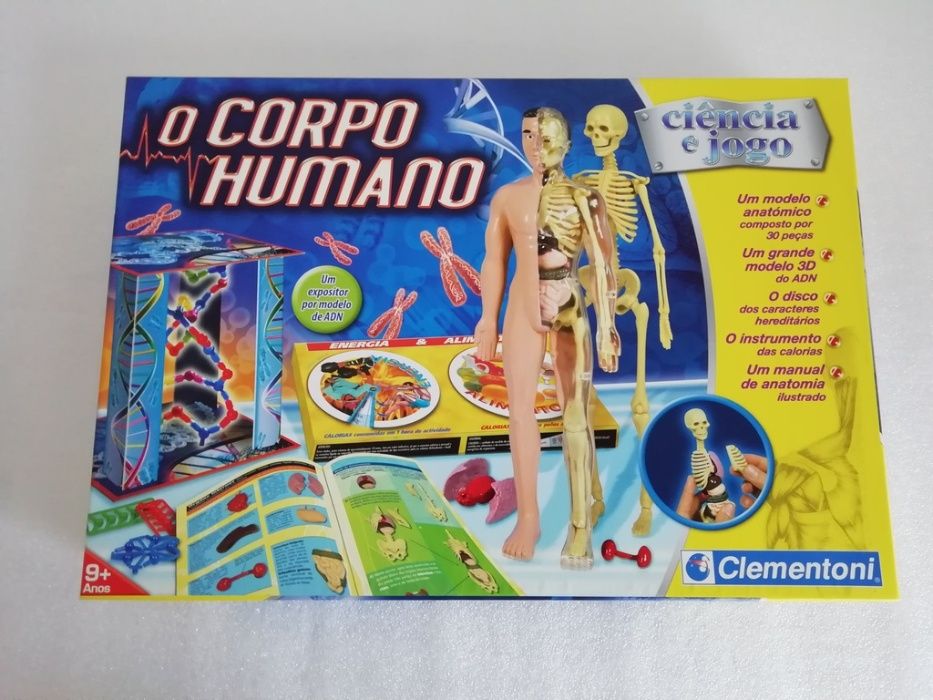 Jogo "O Corpo Humano" (9+)