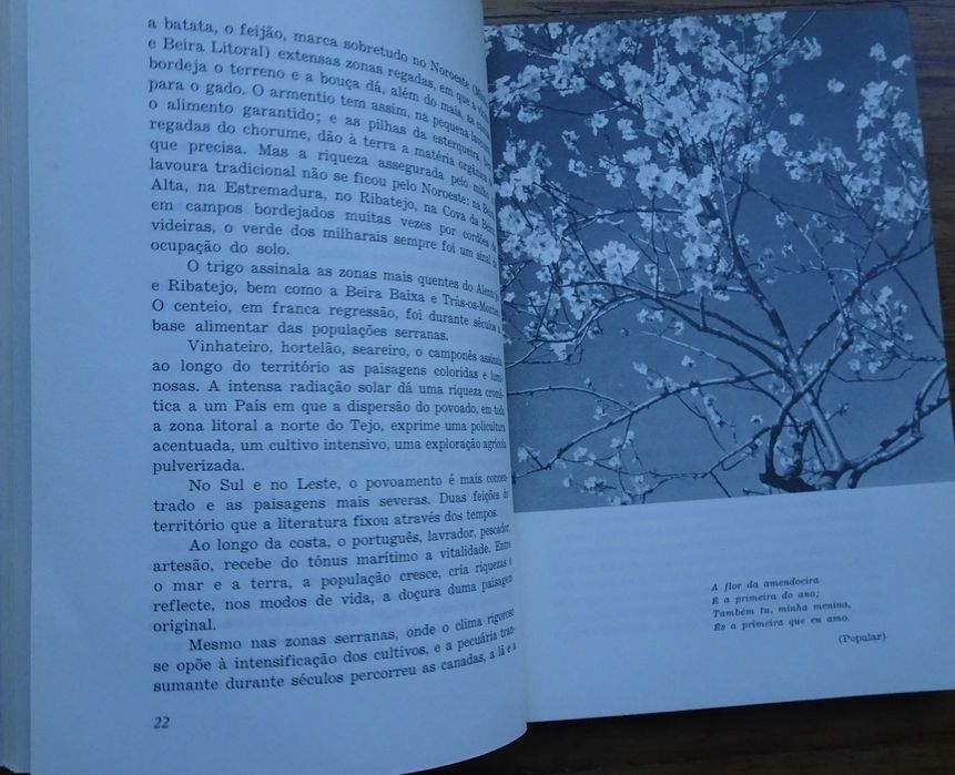 Portugal A Expressão da Paisagem de Gonçalo Santa-Ritta