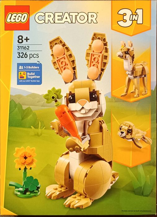 Książka  króliczek 31162 wielbłąd foka