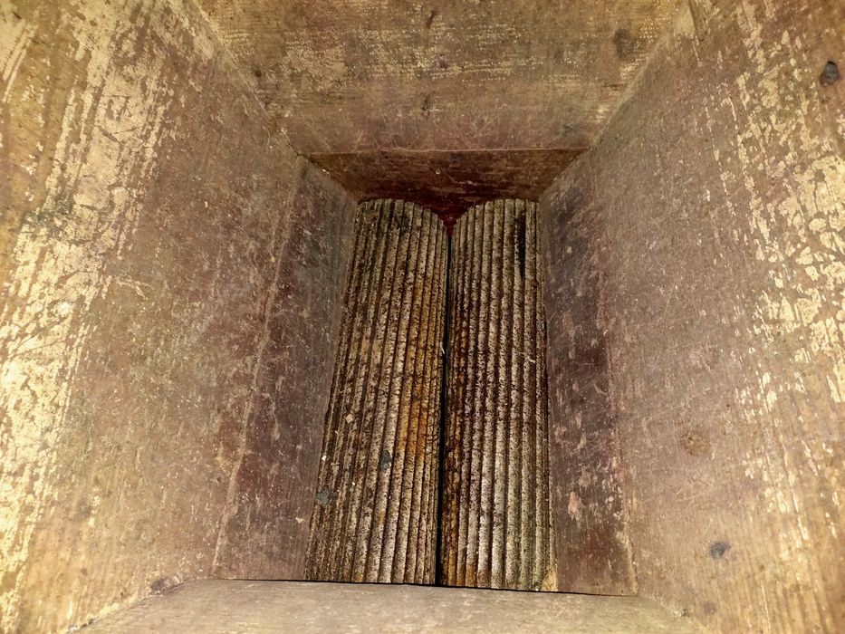 Esmagador de uvas eléctrico