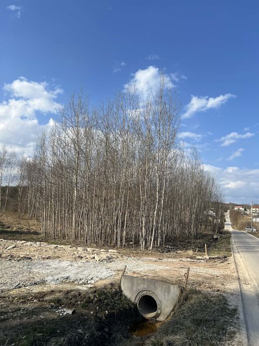 Działka budowlana– Masłów Pierwszy – spokojna okolica - Widok 6