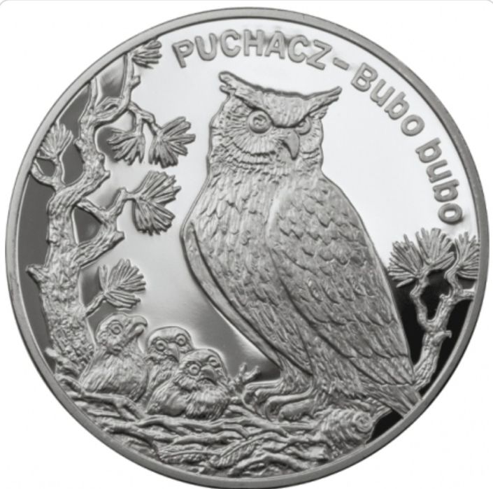 20 zł - morświn, jaszczurka, foka,podkowiec,puchacz.