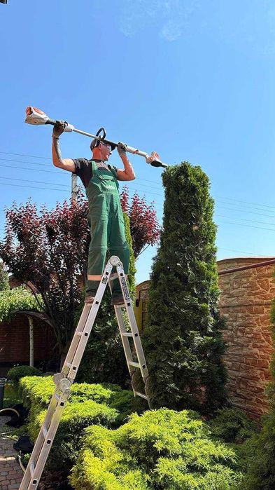 Садівник Озеленення Стрижка Топіар Полив Газон