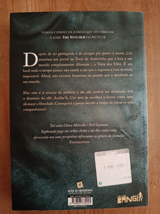 Witcher, a senhora do lago