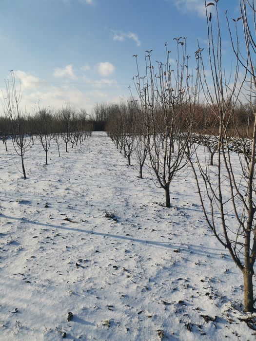 Продам земельну ділянку