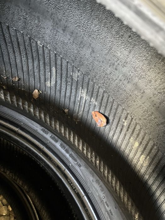 245/50 R19 4 шт. XL Continental EcoContact 6