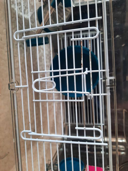 Gaiola hamster Rody 3