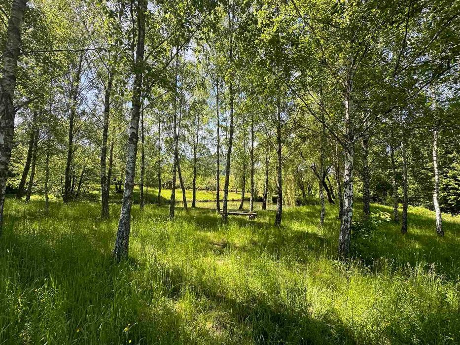 Продається земельна ділянка в с. Ракош