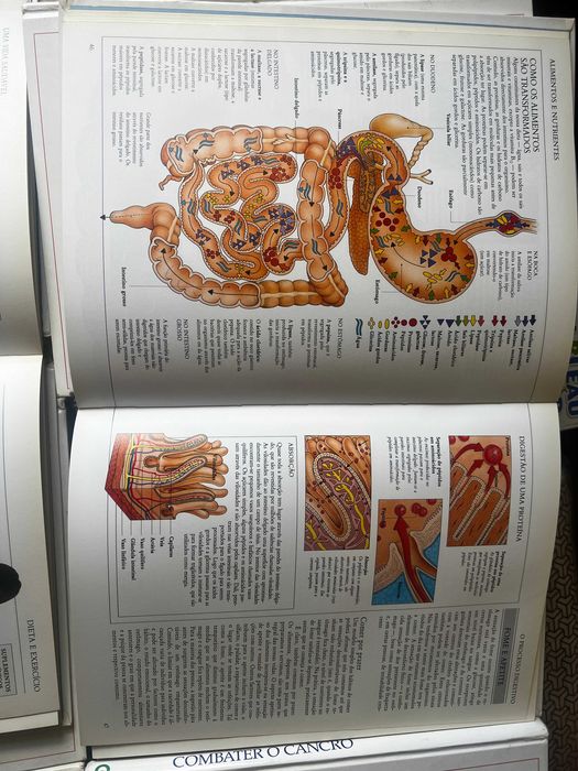 lote livros Biblioteca Medica da Familia Cruz Vermelha