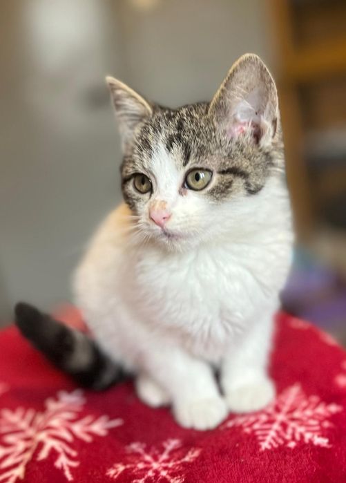 Kochana Patoka czeka tutaj na Ciebie !