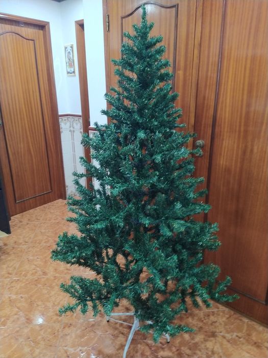 Árvore de Natal verde casa quarto apartamento vivenda escritório gabinete carro cozinha.