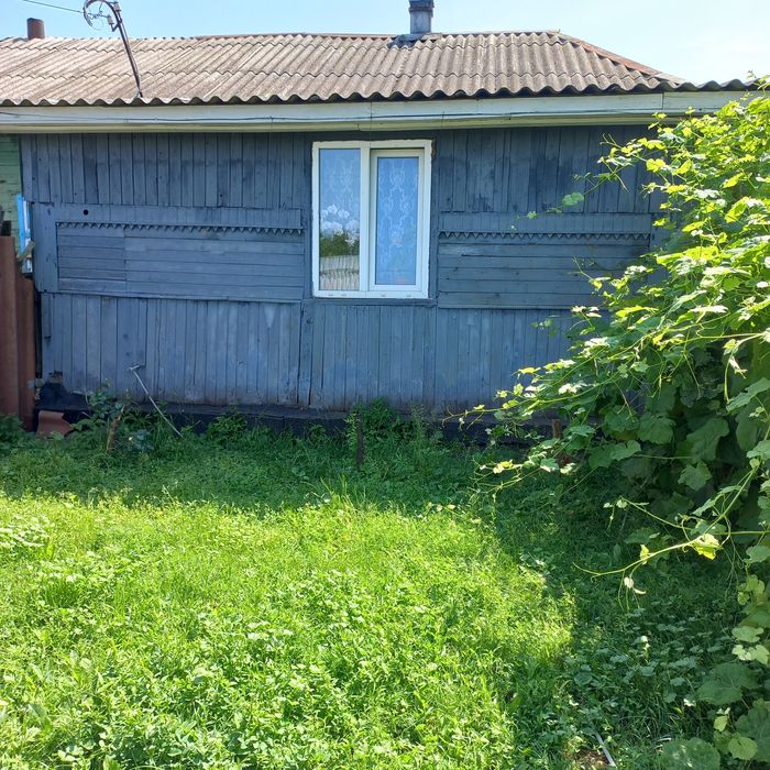 3/5 будинку та велика земельна ділянка