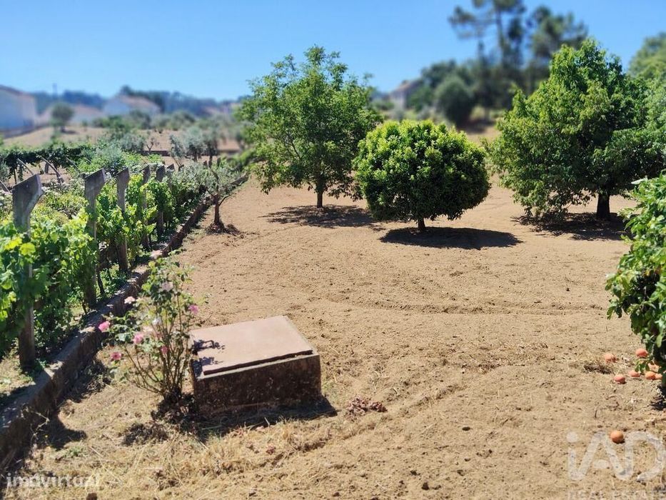Terreno em Castelo