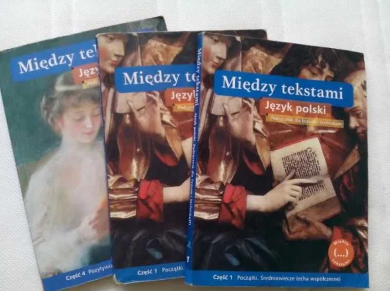 Język polski Miedzy tekstami części 1 liceum technikum