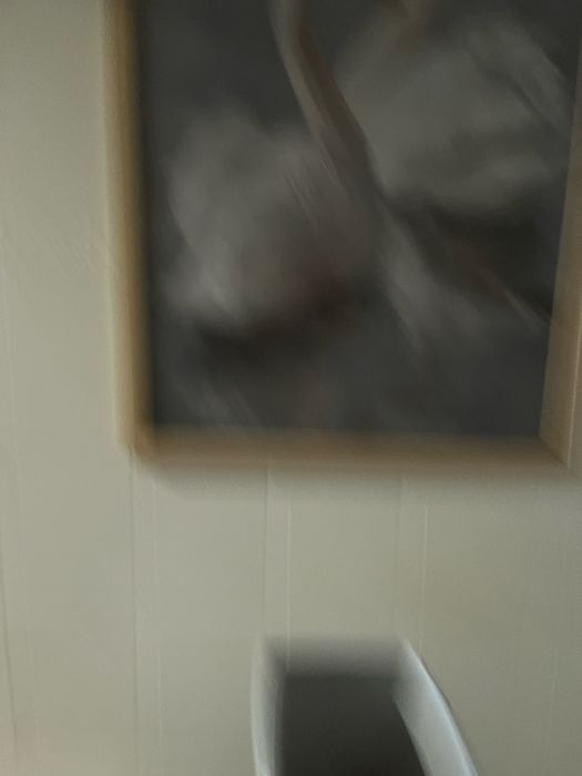 Obraz łabędź 95x65