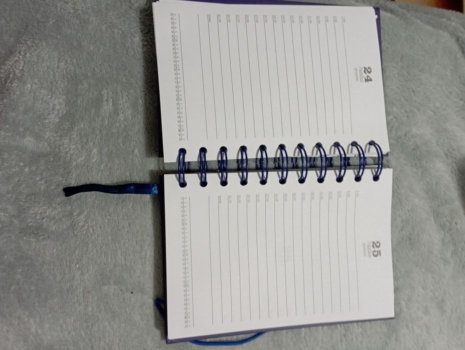 Agenda 2026 nunca usei