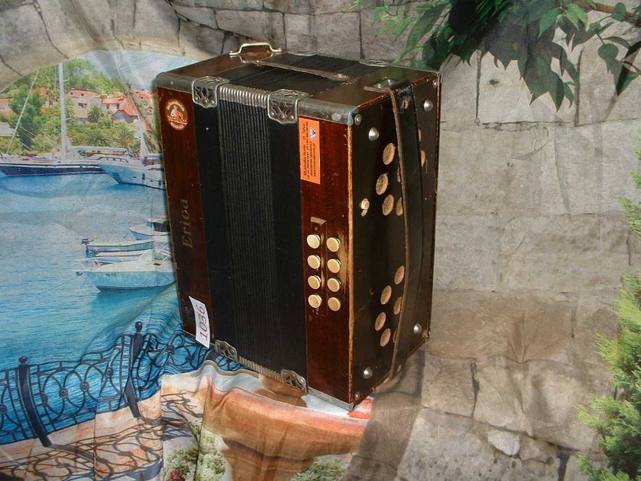 Concertina Avenda N .1036