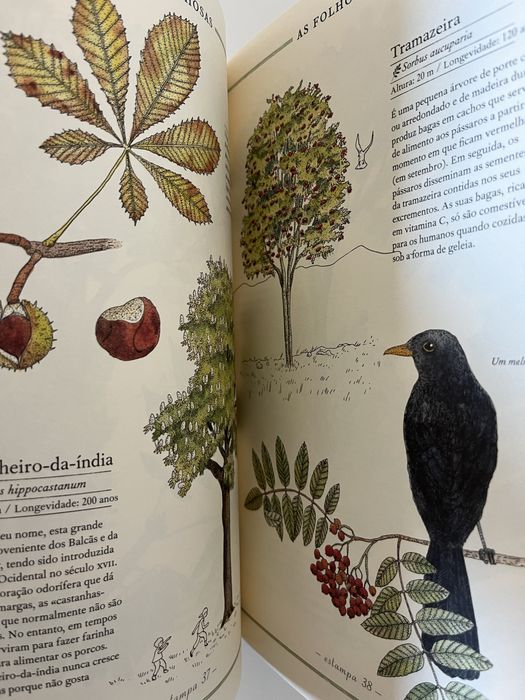 Livro inevtario das arvores