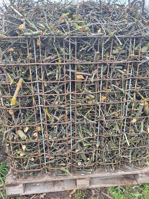 Sprzedam zrebki jablonkowe