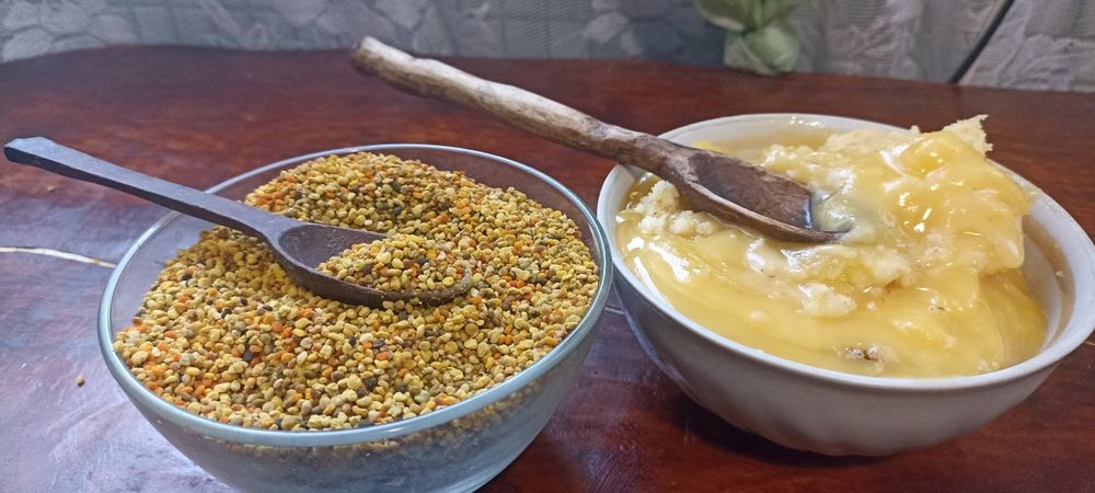 Бджолиний пилок ,обножка пчел, пчелиная пыльца,пыльцезборник