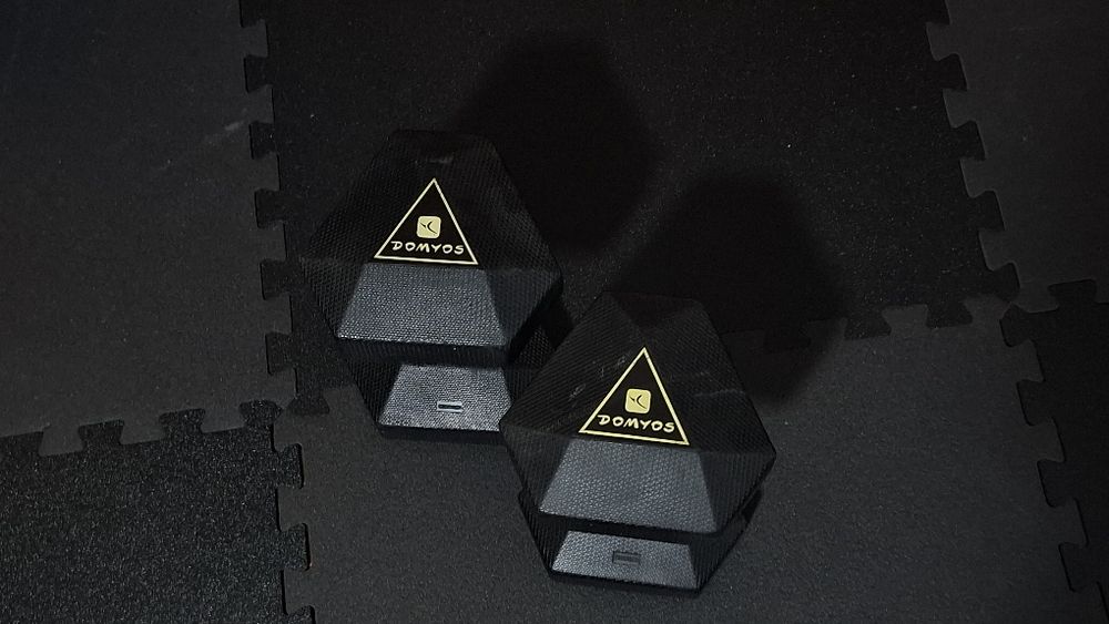 Par de Halteres de Cross-training/Musculação Dumbell Hexagonal 10 kg Preto