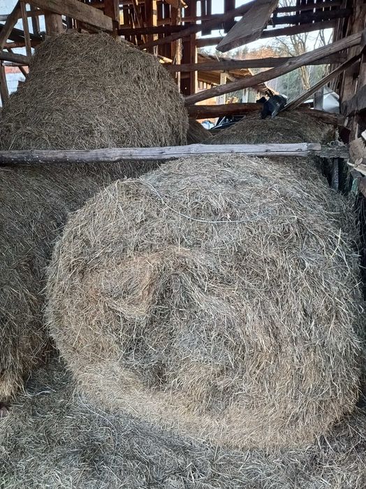 Sprzedam siano w balotach