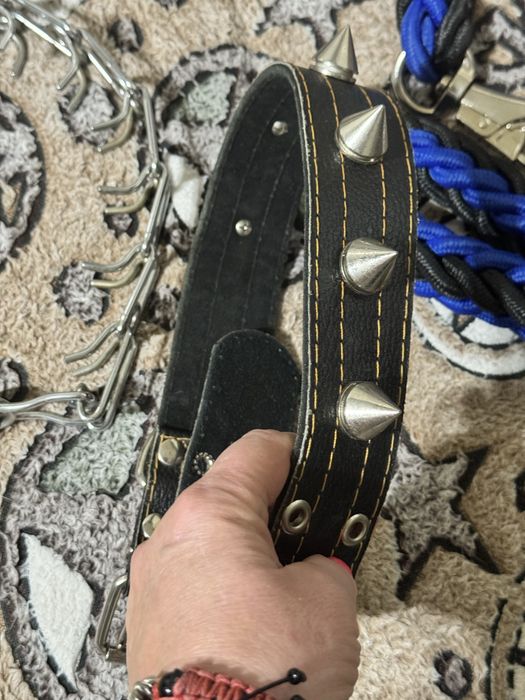 Амуниция для собак